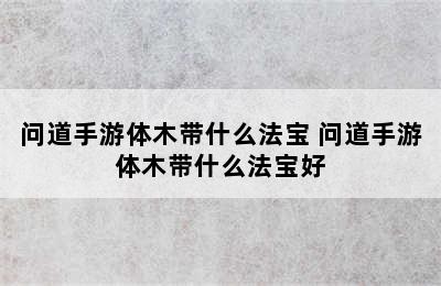 问道手游体木带什么法宝 问道手游体木带什么法宝好